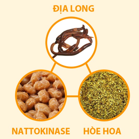 Những thảo dược giúp phòng ngừa tai biến mạch máu não - 5 Công thức “vàng” giúp phòng ngừa tai biến mạch máu não chính là sự kết hợp giữa Địa Long, Nattokinase và Hòe Hoa cùng câu đằng, hạ khô thảo, huyền sâm…là các thảo dược quý trong bài thuốc “Giáng áp hợp tễ” (bài thuốc nổi tiếng trong cuốn “Thiên gia diệu phương” về điều trị huyết áp cao) sẽ giúp giảm huyết áp, ổn định huyết áp, phòng ngừa tai biến mạch máu não và hạn chế được các tác dụng phụ của thuốc điều trị.