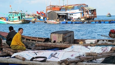 Tỷ phú lưng trần giữa biển - 1
Làng cá lồng bè đảo Hòn Chuối.