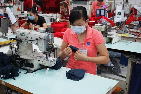 TPHCM: Hơn 2.750 tỉ đồng chậm đóng bảo hiểm xã hội - 1
Ảnh có tính minh họa