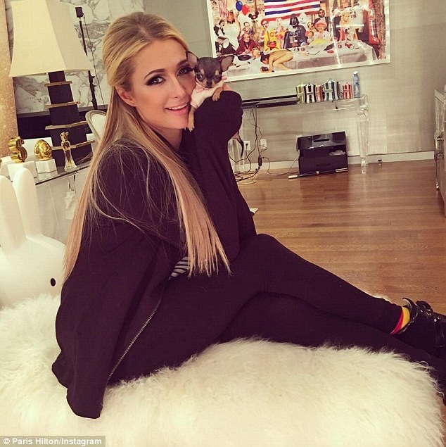 Paris Hilton khoe cún cưng nhỏ xíu 8 nghìn đô - 3
Người đẹp 35 tuổi nổi tiếng yêu động vật, đặc biệt là chó cún
