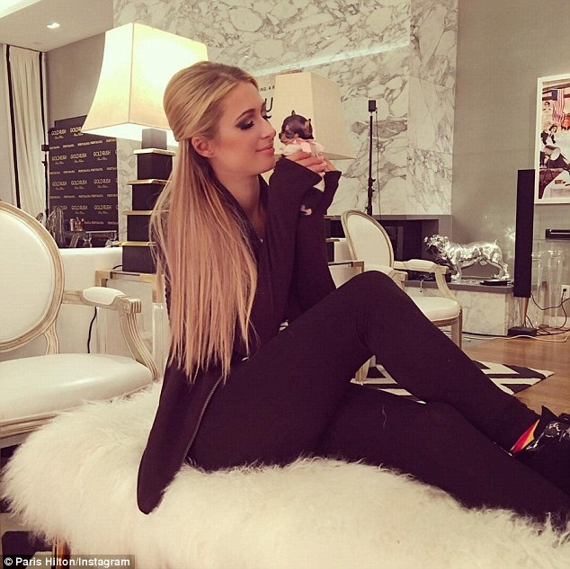 Paris Hilton khoe cún cưng nhỏ xíu 8 nghìn đô - 4
Được biết người đẹp đã chi ra 8 nghìn đô để có chú cún này
