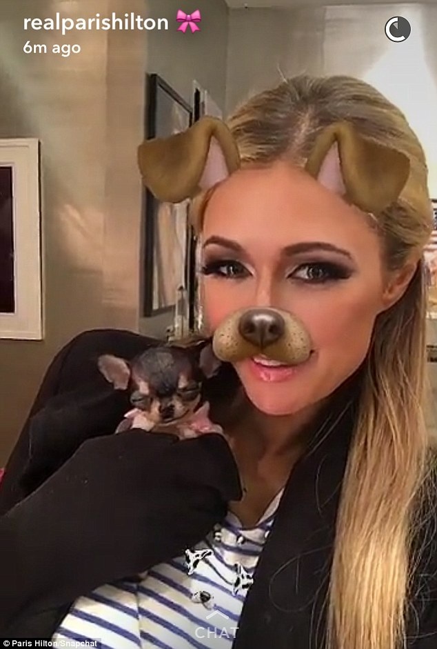 Paris Hilton khoe cún cưng nhỏ xíu 8 nghìn đô - 5
Paris Hilton liên tục khoe ảnh thành viên mới trong gia đình