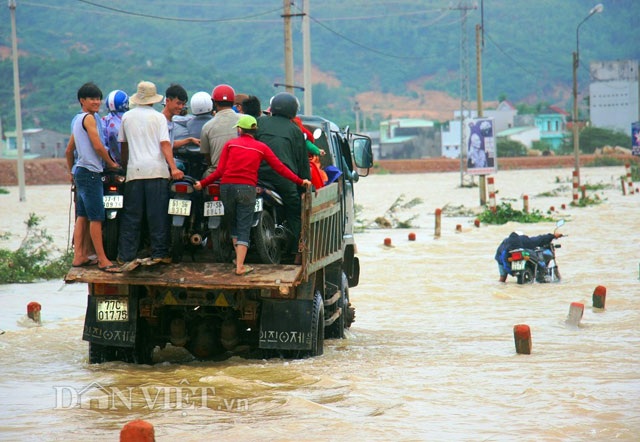 Bình Định: Dân sợ băng dòng lũ, xe tải kiếm tiền triệu mỗi ngày - 1 Bình Định: Dân sợ băng dòng lũ, xe tải kiếm tiền triệu mỗi ngày - 1