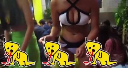 TQ: Người đẹp bikini khiến quán ăn "cháy chỗ" - 1 TQ: Người đẹp bikini khiến quán ăn "cháy chỗ" - 1