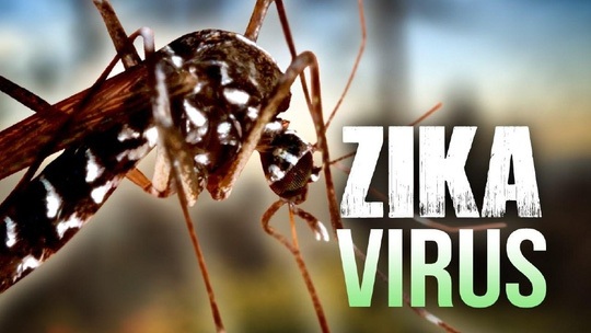 2 chị em ruột cùng nhiễm vi rút Zika - 1 2 chị em ruột cùng nhiễm vi rút Zika - 1
