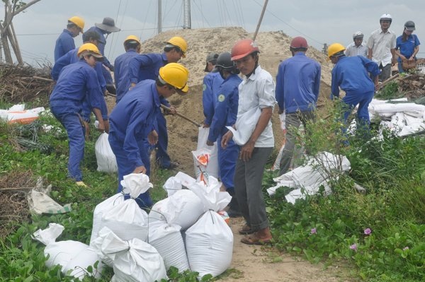 'Lời nguyền biển cả": Sóng cuốn ngàn tỷ, đại gia trắng tay - 6 'Lời nguyền biển cả": Sóng cuốn ngàn tỷ, đại gia trắng tay - 6