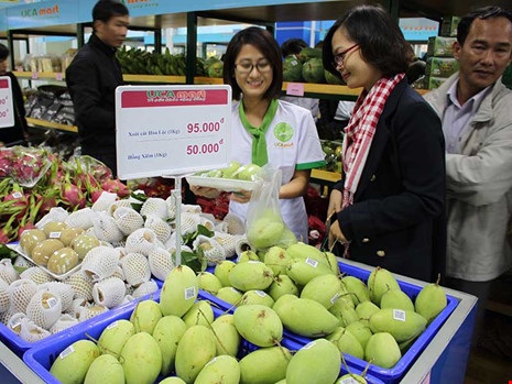 Tranh nhau mua cá, tôm...với thương lái Trung Quốc - 1
Nhiều DN đã liên kết với nông dân để sản xuất nông sản phục vụ người tiêu dùng. Ảnh: CHÂN LUẬN