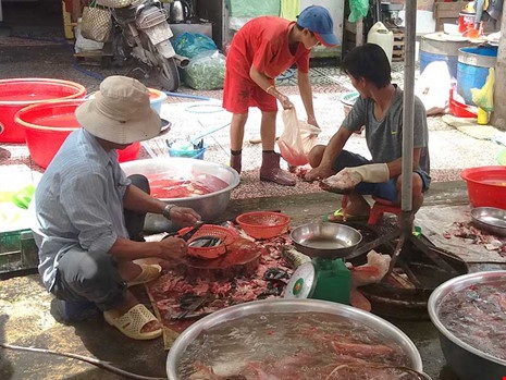 Tỉ lệ thủy sản nuôi chứa hóa chất, kháng sinh cấm và vượt giới hạn cho phép ở các chợ vẫn tăng. Ảnh: HTD