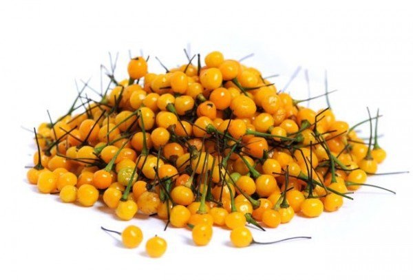 Chiêm ngưỡng loại ớt đắt nhất thế giới với giá nửa tỷ một kg - 1 Chiêm ngưỡng loại ớt đắt nhất thế giới với giá nửa tỷ một kg - 1