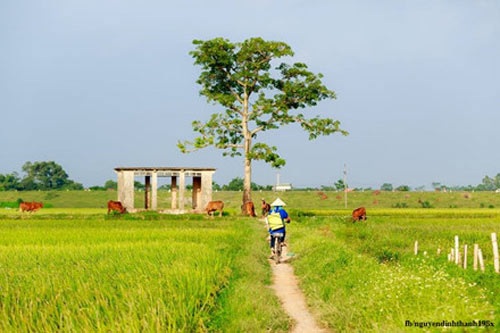 Bộ ảnh đồng quê Bắc Bộ khiến ai cũng phải nhớ nhà - 2 Bộ ảnh đồng quê Bắc Bộ khiến ai cũng phải nhớ nhà - 2