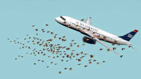 Cú hạ cánh để đời của cơ trưởng Sully Sullenberger: Chỉ tại một đàn chim - 2 Đàn ngỗng trời va vào chiếc Airbus 320 (ảnh mô phỏng theo màn hình radar)