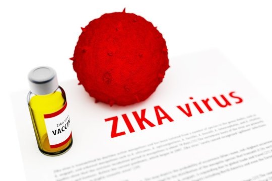 Vắc-xin Zika có thể chống lại tổn thương thần kinh - 1 Vắc-xin Zika có thể chống lại tổn thương thần kinh - 1