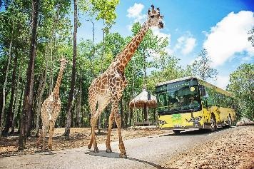 Bốn cung bậc cảm xúc tại vườn thú "thiên đường" của Việt Nam - 1 Bốn cung bậc cảm xúc tại vườn thú "thiên đường" của Việt Nam - 1