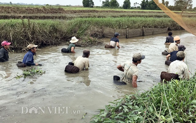 Độc đáo "dàn trận" tập thể bắt cá bằng... nơm tre - 2 Cảnh đi chụp nơm tập thể của người dân Đức Thắng