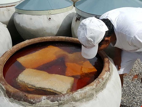 Có cái nắng, có con cá, có hạt muối mới là mắm - 2 Có cái nắng, có con cá, có hạt muối mới là mắm - 2