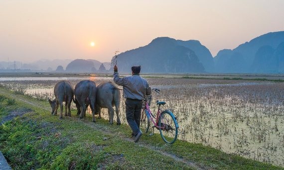 Du khách nước ngoài chia sẻ những điểm đến đẹp tại Việt Nam - 1 Du khách nước ngoài chia sẻ những điểm đến đẹp tại Việt Nam - 1