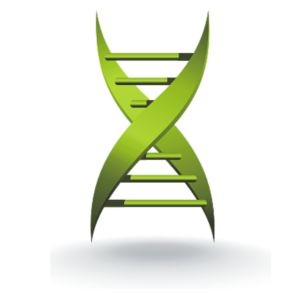 Sử dụng tế bào gốc để giảm sẹo - 1 Sử dụng tế bào gốc để giảm sẹo - 1