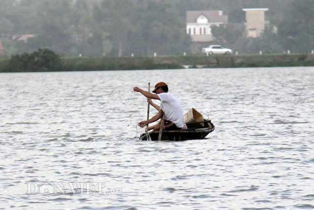 Mang lưới, vác nơm ra đồng "kiếm cơm" trong mùa lũ - 2 Mang lưới, vác nơm ra đồng "kiếm cơm" trong mùa lũ - 2