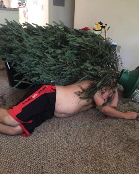 Chùm ảnh chứng minh làm cha thật khó - 1 Khỏe nhất nhà nhưng vẫn phải “đánh vật” với cây thông Giáng sinh