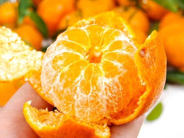 Vitamin C có thực sự ngăn ngừa cảm lạnh? - 1