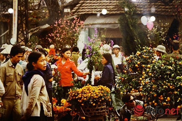 Tiền bị mối ăn, mẹ nghèo khóc ròng vì mất Tết - 2
Hà Nội những năm 1980: Chợ đào, quất ngày giáp Tết. Ảnh: Michel Blanchard