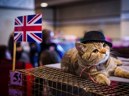 25 đất nước thịnh vượng và hạnh phúc nhất thế giới - 10