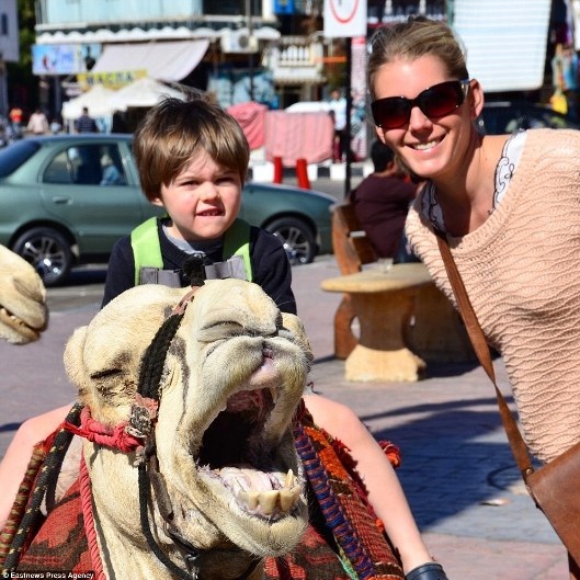 Hành trình chinh phục thế giới của “phượt thủ” 6 tuổi - 11