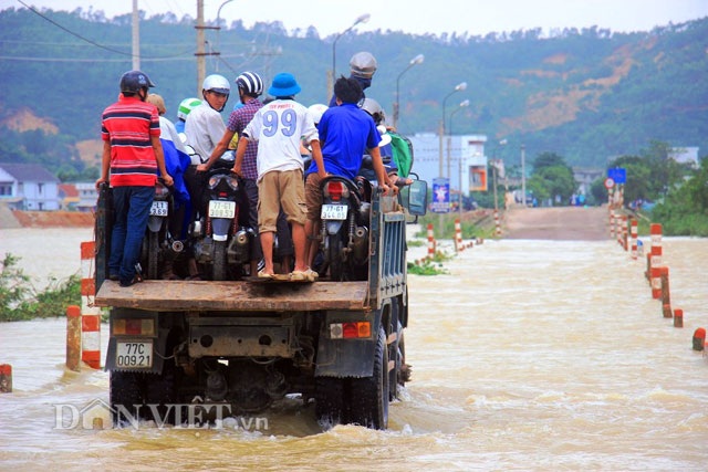 Bình Định: Dân sợ băng dòng lũ, xe tải kiếm tiền triệu mỗi ngày - 7 Mỗi ngày, các chủ xe tải... kiếm tiền triệu nhờ vào việc mưu sinh mùa lũ