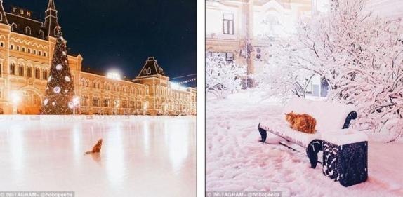 Bộ ảnh ảo diệu về mùa đông ở Moscow - 12 Bộ ảnh ảo diệu về mùa đông ở Moscow - 12