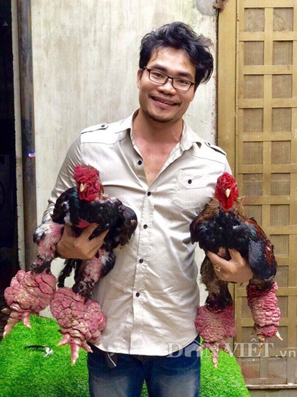 "Trố mắt" xem gà Đông Tảo chân to kỷ lục giá 50 triệu đồng chưa bán - 5
Anh Hồng khoe 2 chú gà Đông Tảo quý hiếm của gia đình.