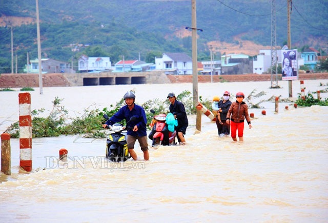 Bình Định: Dân sợ băng dòng lũ, xe tải kiếm tiền triệu mỗi ngày - 8 Theo Ban Chỉ huy PCTT và TKCN Bình Định, chiều ngày 4.11 lượng mưa tại địa phường này đã giảm, bình quân 26 mm.