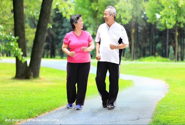 
Chỉcưdân ở Đảo mới có quyền tận dụng mảng xanh chiếm tới 86.5% diện tích đảo
