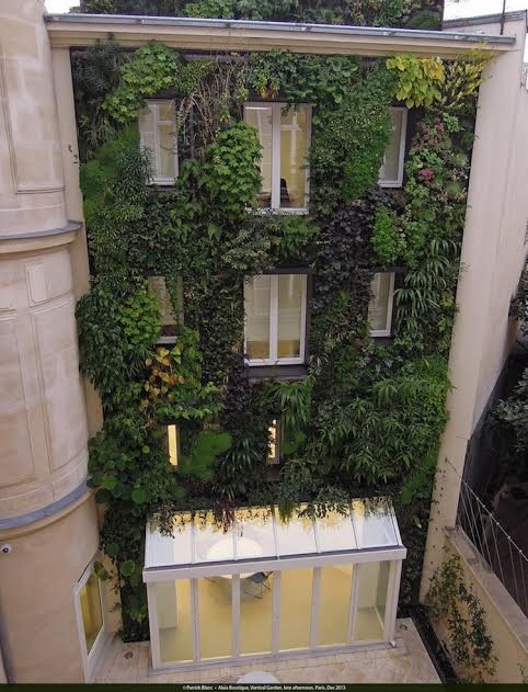 Thủ đô Paris: Người dân trồng cây quanh thành phố - 3 Thủ đô Paris: Người dân trồng cây quanh thành phố - 3