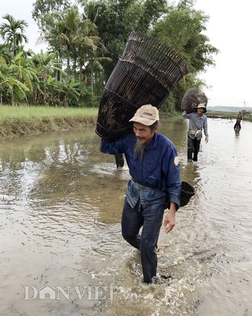 Độc đáo "dàn trận" tập thể bắt cá bằng... nơm tre - 3 Độc đáo "dàn trận" tập thể bắt cá bằng... nơm tre - 3