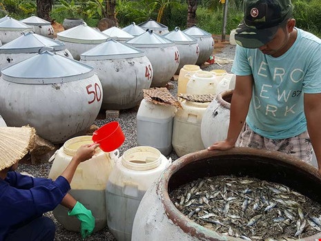 Có cái nắng, có con cá, có hạt muối mới là mắm - 3
Công nhân đang rút mắm để đảo cá, dang nắng. Ảnh: Phương Nam