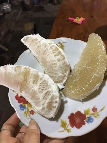 Bưởi lạ vàng bóng: Tò mò ăn thử, lo sợ nguồn gốc - 3
Theo quảng cáo, đây là bưởi trồng ở Việt Nam, ăn có vị ngọt dịu nhẹ
