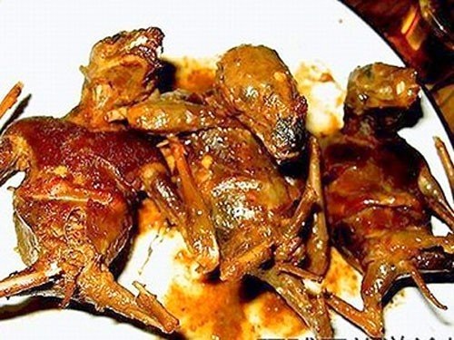 Ảnh có tính chất minh họa. Nguồn ảnh: Internet