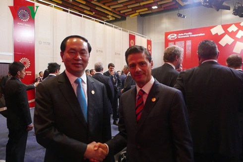 Chủ tịch nước Trần Đại Quang gặp lãnh đạo nhiều nước thành viên APEC - 3 Chủ tịch nước và Tổng thống Mexico Enrique Peña Nieto.