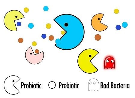 Vì sao trẻ dễ bị tiêu chảy khi dùng kháng sinh? - 2 Sử dụng men vi sinh có bổ sung Prebiotic để tối ưu hiệu quả