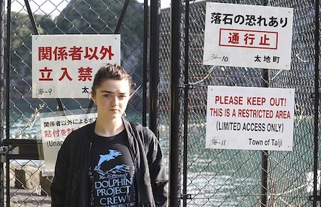 Nữ diễn viên tuổi teen đau xót trước thực trạng săn bắt cá heo - 2 Maisie Williams tích cực lên tiếng bảo vệ cá heo