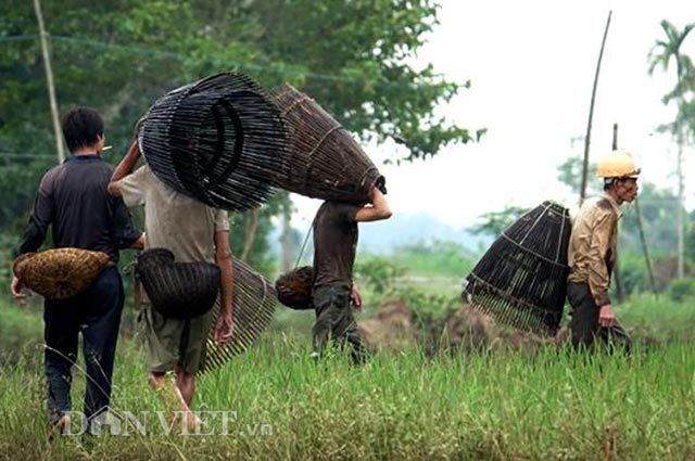Mang lưới, vác nơm ra đồng "kiếm cơm" trong mùa lũ - 3 Mang lưới, vác nơm ra đồng "kiếm cơm" trong mùa lũ - 3
