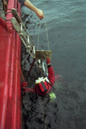 Bí ẩn tàu Wilhelm Gustloff với 100 triệu bảng Anh vàng (bài cuối) - 3 Phil Sayers lúc bắt đầu lặn.