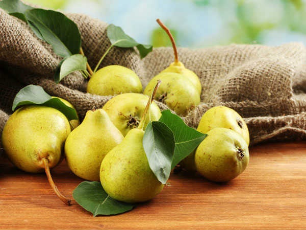 Những loại quả lành mạnh nhất nên ăn trong mùa đông - 2 Những loại quả lành mạnh nhất nên ăn trong mùa đông - 2