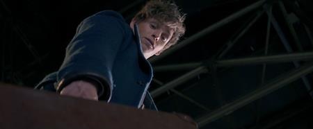 Phần phim “ăn theo” của “Harry Potter”, “Fantastic beasts and where to find them” cũng kế thừa được kha khá sức hút từ người tiền nhiệm và đã dễ dàng thu về tới 746.1 triệu đô la Mỹ doanh thu phòng vé trên toàn cầu.