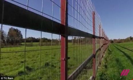 Putin lộ mật biệt thự lợp cỏ, tránh vệ tinh do thám - 5 Căn nhà bí mật có tường rào 13km. Ảnh: Rain TV