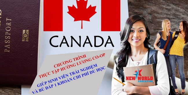 Chọn du học Canada 2016 với nhiều chính sách thuận lợi - 4 Chọn du học Canada 2016 với nhiều chính sách thuận lợi - 4