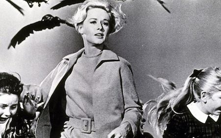 Những tác phẩm “kinh sợ” cho mọi mùa Halloween - 4 “The bird” (1963) kể về một đàn chim dữ, hung thủ gây ra những vụ tấn công kinh hoàng cho cả một thị trấn. Có cốt truyện tương đối đơn giản nhưng “The bird” lại là một trong những tác phẩm ấn tượng nhất và “hút khách” nhất của đạo diễn nổi tiếng Alfred Hitchcock.