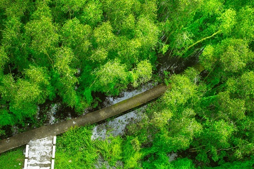 Đổi gió với những địa điểm phượt gần Sài Gòn - 4 Đổi gió với những địa điểm phượt gần Sài Gòn - 4