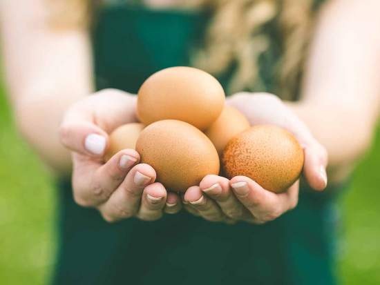 8 lý do để bạn ăn trứng hàng ngày - 5 8 lý do để bạn ăn trứng hàng ngày - 5