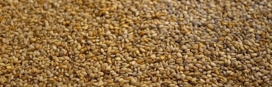 Những cách đơn giản tiêu diệt mảng bám trên răng - 5